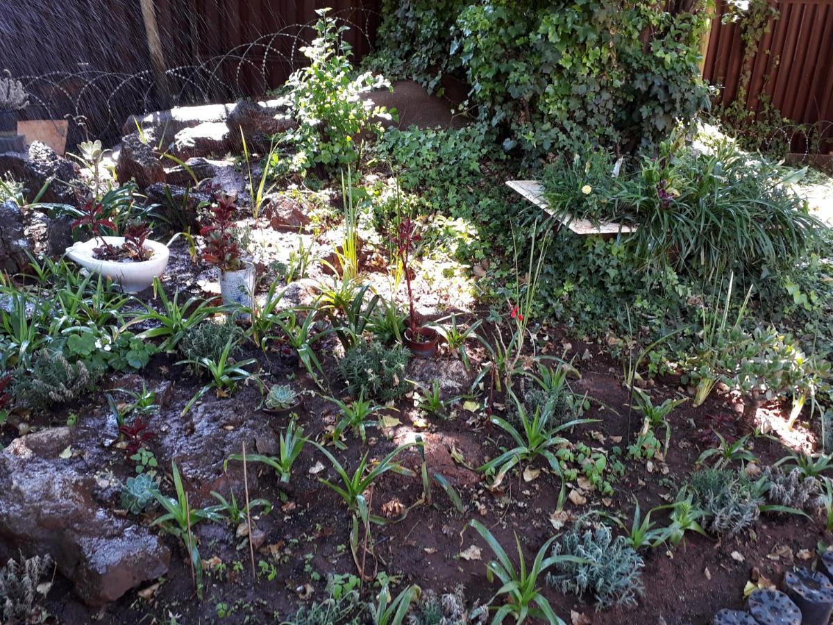 Upper Houghton Guesthouse Johannesburg Kültér fotó